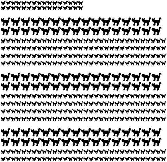 1250 Cats